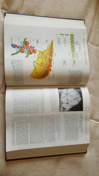 molecular cell biology 3rd edition