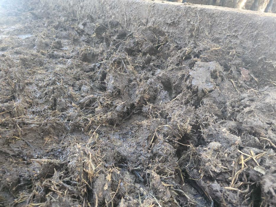 Pomiot kurzy..obornik nawóz..bydlęcy