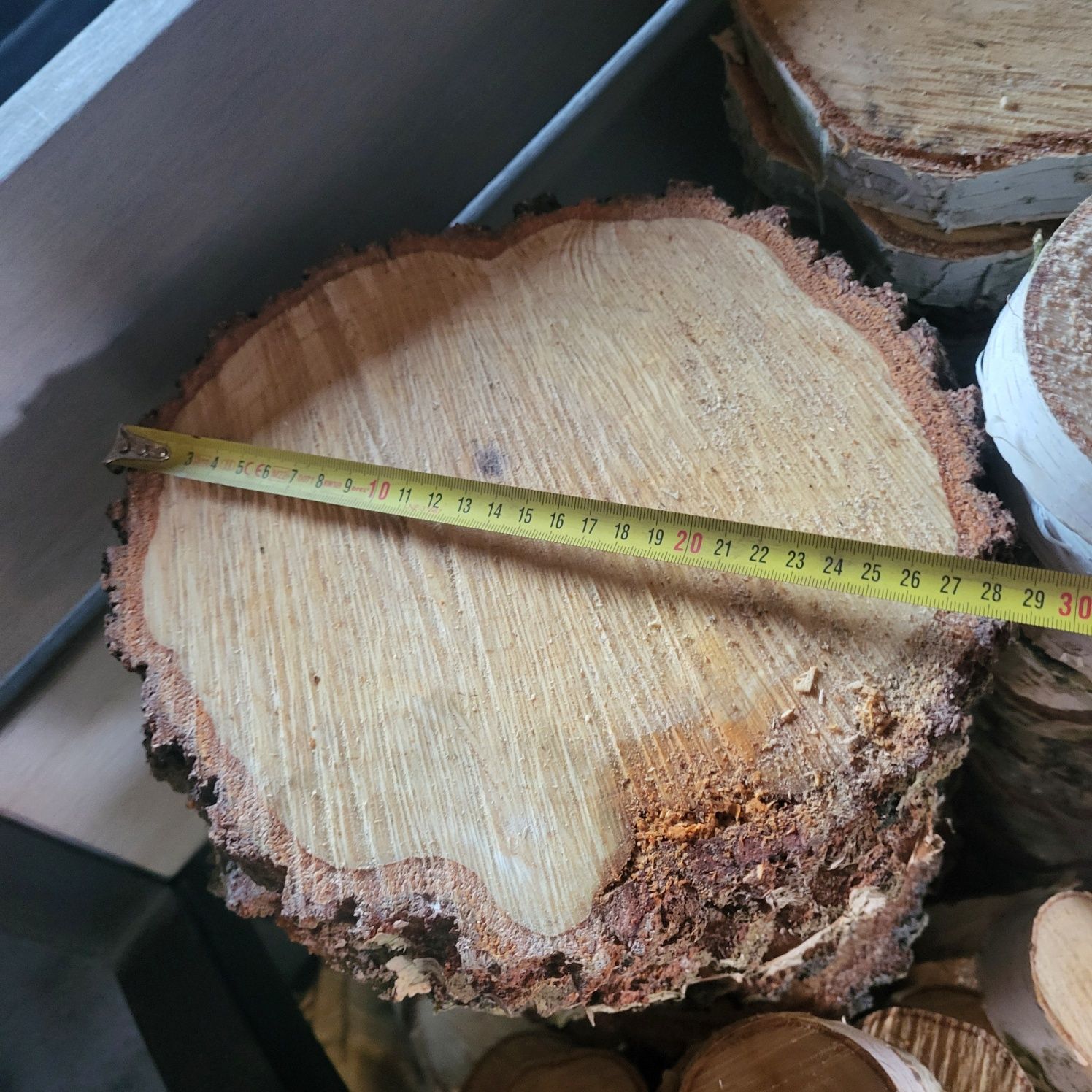 Krążki drewna, plastry drewna - brzoza 30-28 cm
