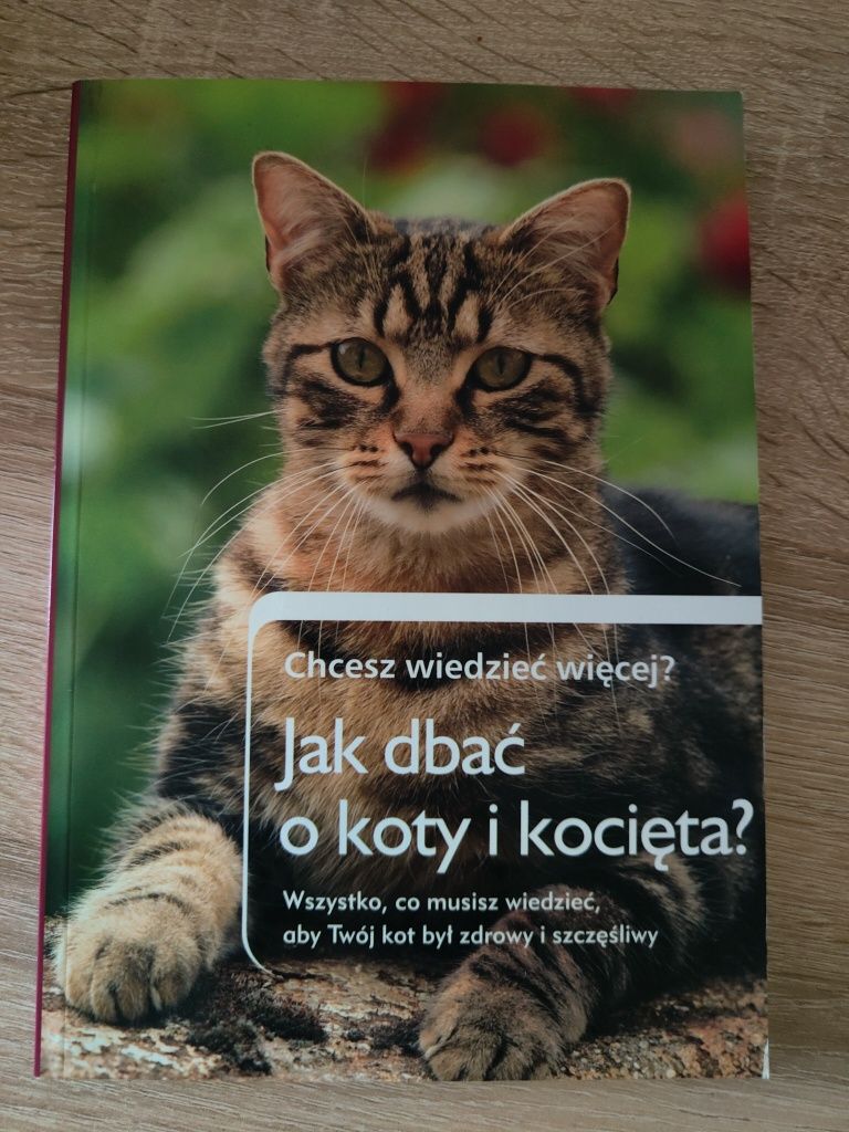 Jak dbać o koty i kocięta