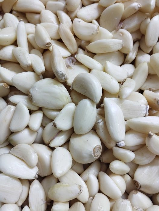 Czosnek łuskany Harnaś.Polski