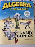 Larry Gonick - Algebra w obrazkach