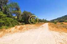 Terreno Rústico com 909 M2  situado entre Loulé e Almancil