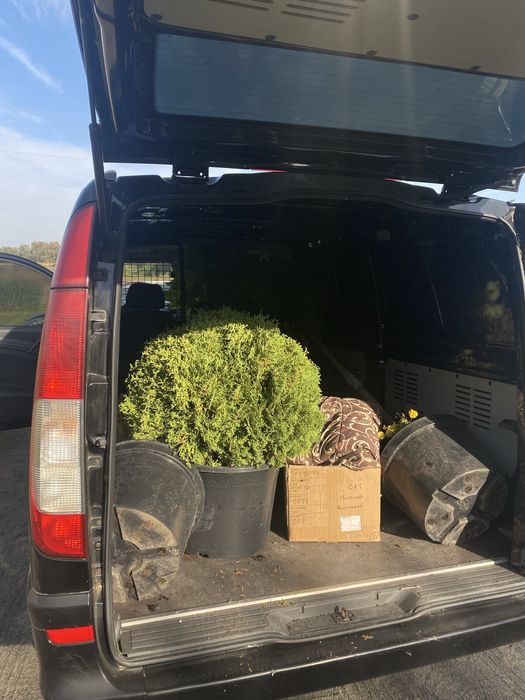 Вантажне таксі , вивіз будівельного сміття , послуги вантажників