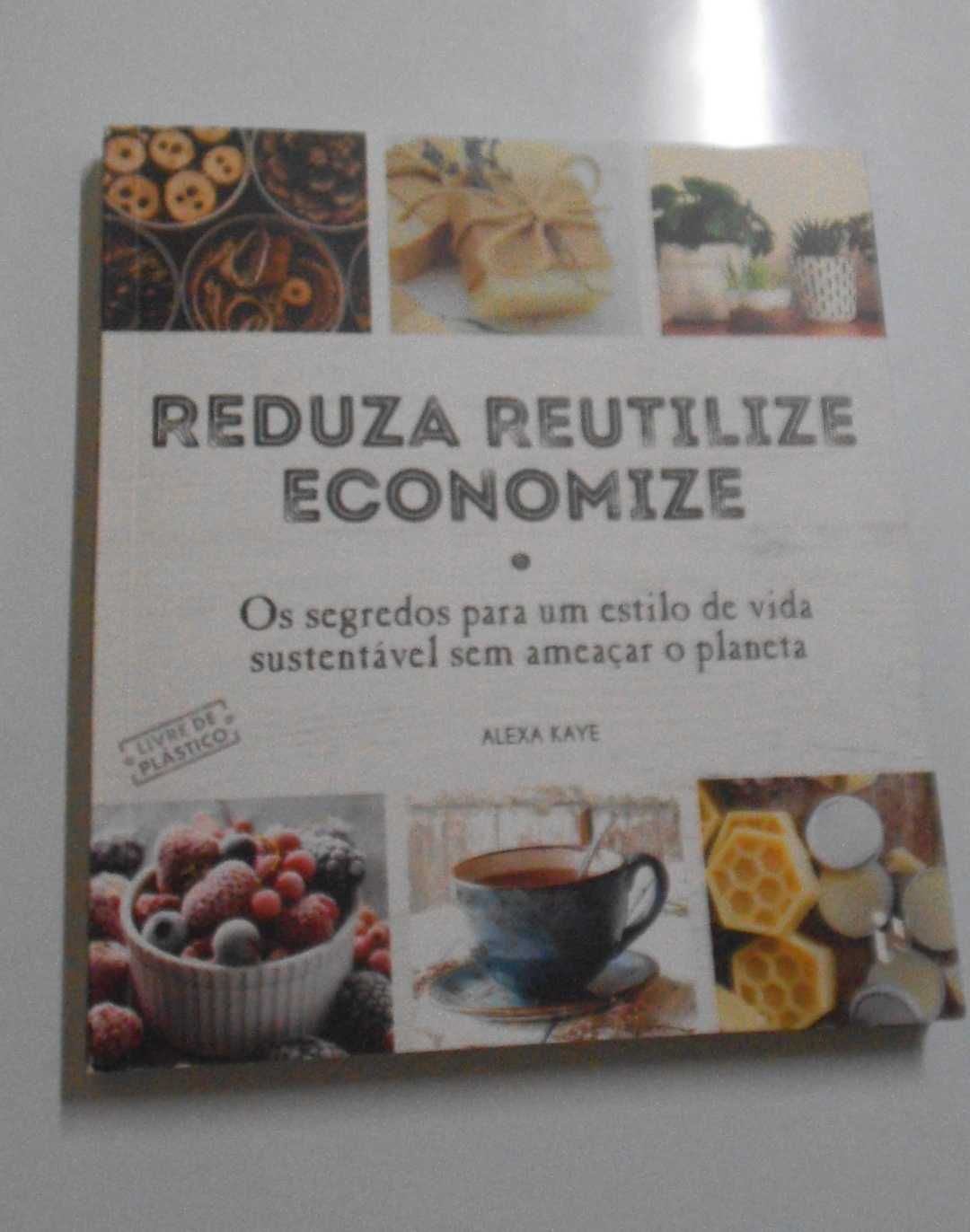 Livros salvem o Mundo , E Reduza.Reutilize. economize