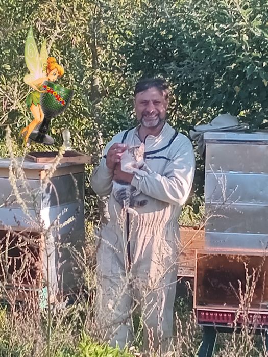 Безкоштовна доставка МЕДУ з власної пасіки