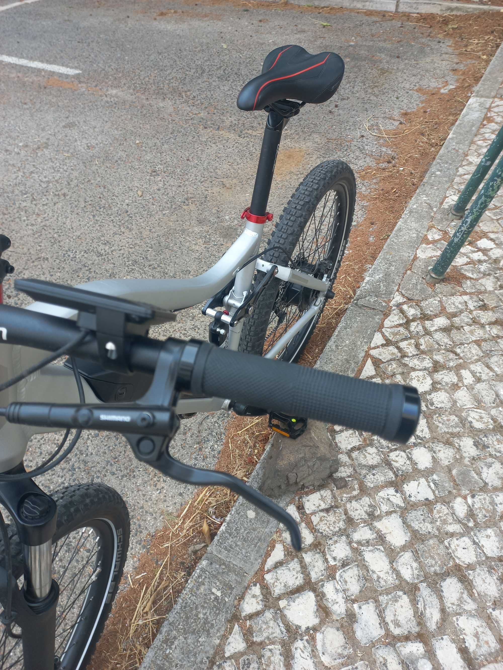 Bicicleta elétrica de montanha ACP
