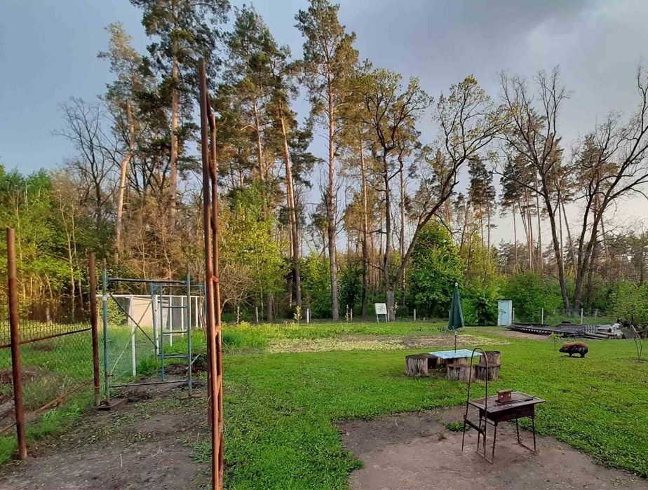 Забирье продам дом дачу с выходом в лес