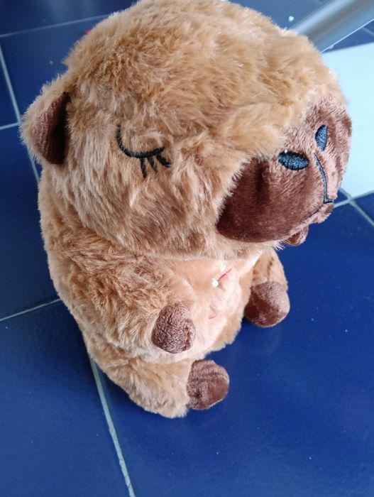 Capivara respira e com som