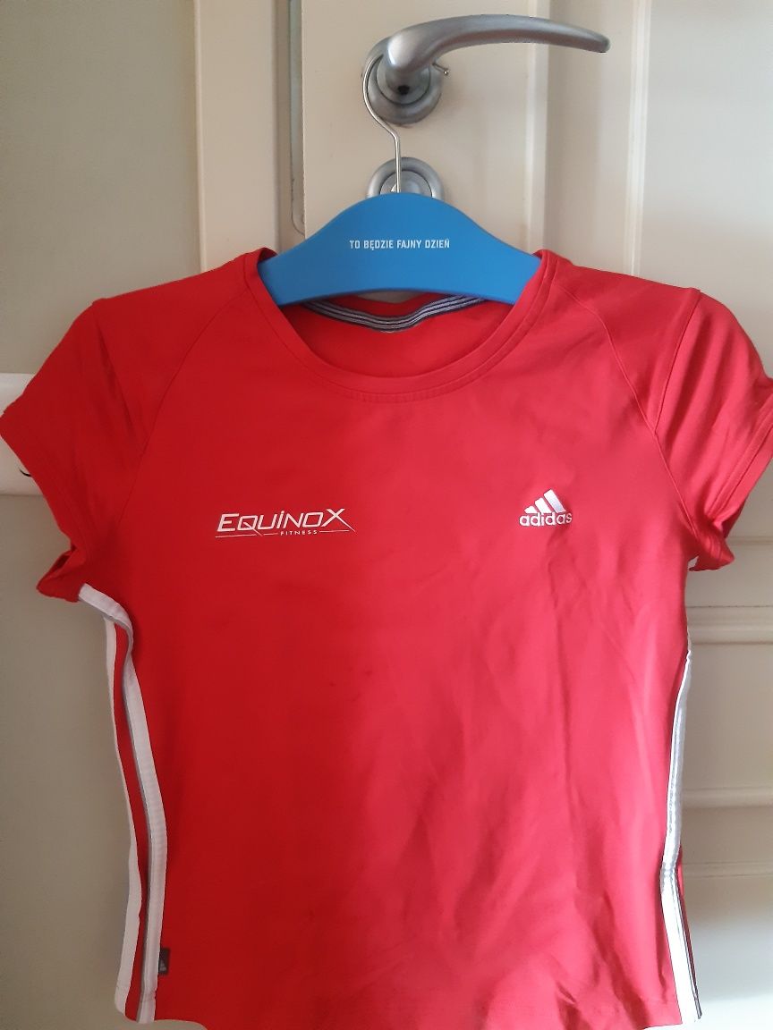 Adidas Climalite koszulka techniczna sport/fitness malina r M i 38