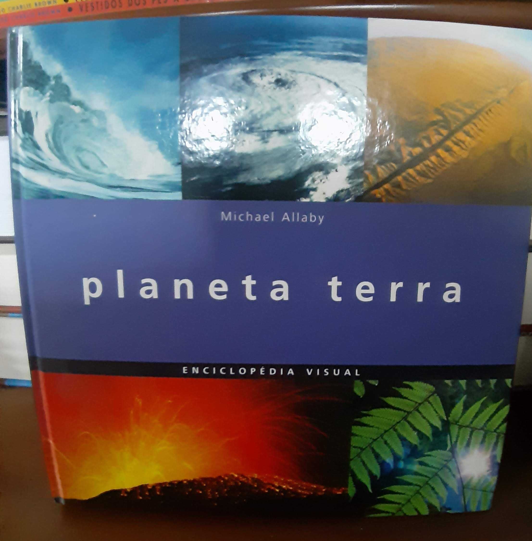 Enciclopédia visual - tudo o que precisas saber