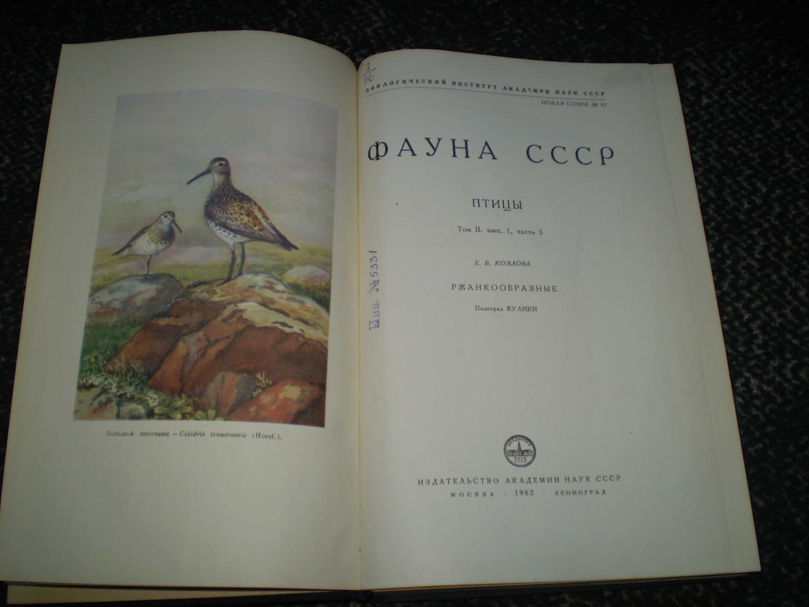 Козлова Фауна СССР. Птицы Том 2,вып 1 Ржанкообразные.Подотр.Кулики1962