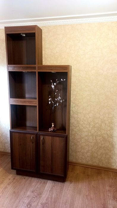 Декопативна шафа з підсвітками