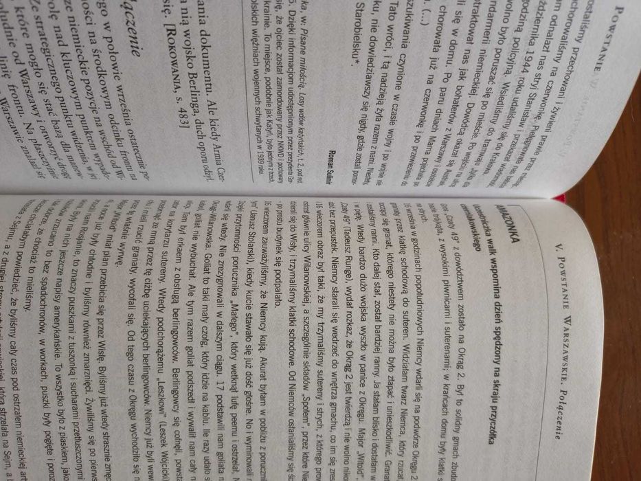 Powstanie 44 Norman Davies