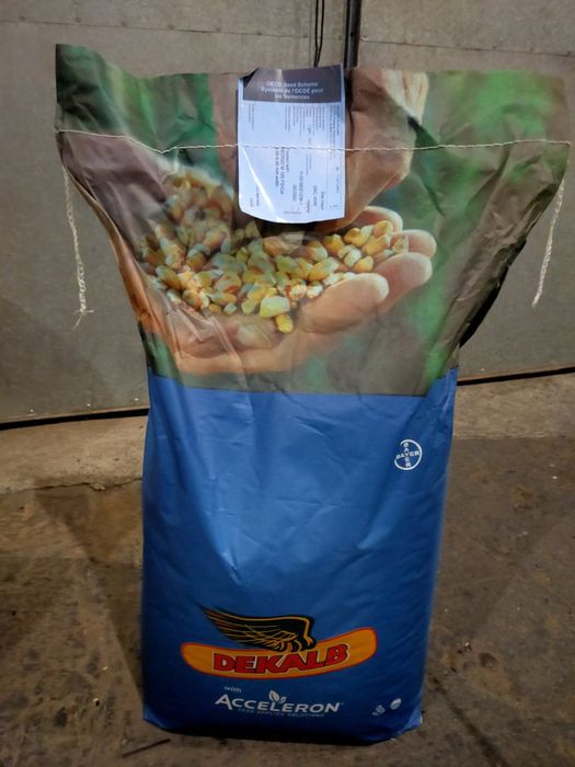 Продаж сонях та кукурудзи