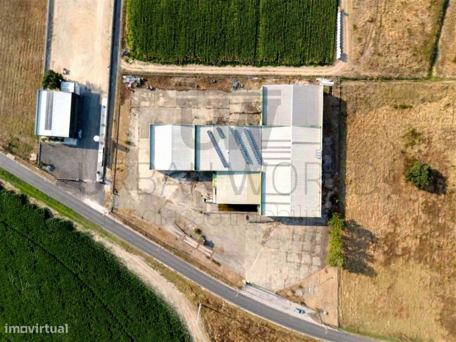Armazém, Salvaterra de Magos - Santarém, 3.026 m2