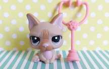 Littlest Pet Shop LPS unikatowy pies Buldog Francuski #1896