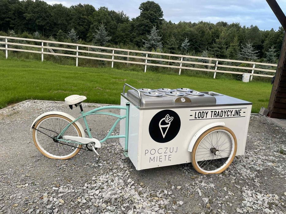 Riksza, konserwator sprzedam