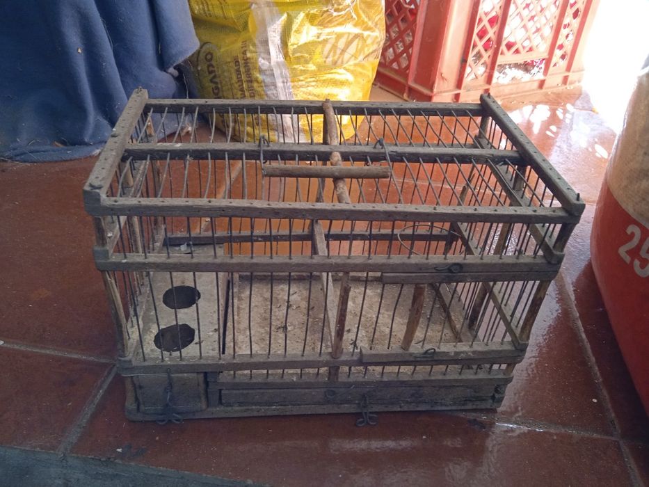 Gaiola de madeira...