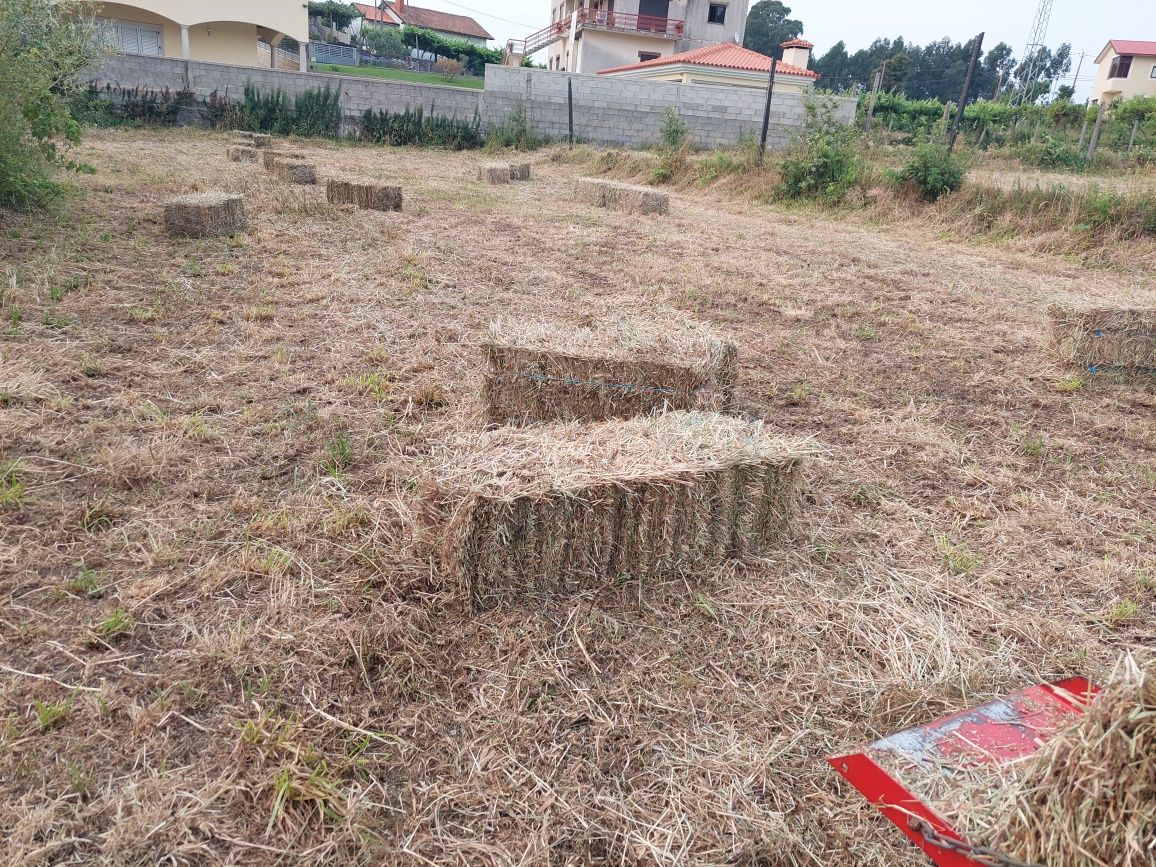 Fardos de feno 2025