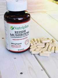 Grzyby reishi nutriplus