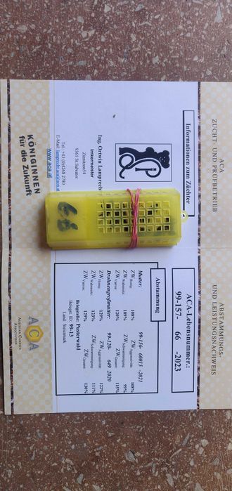 Плідна бджоломатка карніка F 1