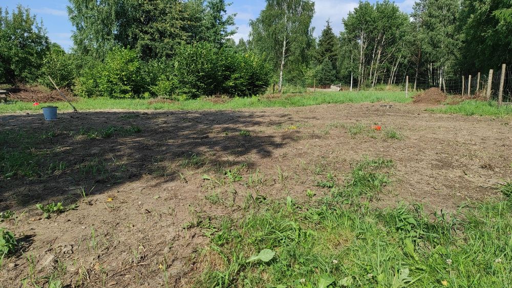Profesjonalne koszenie trudnych działek, wycinka krzaków zarośli rębak
