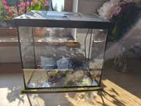 Sprzedam Akwarium 35 l