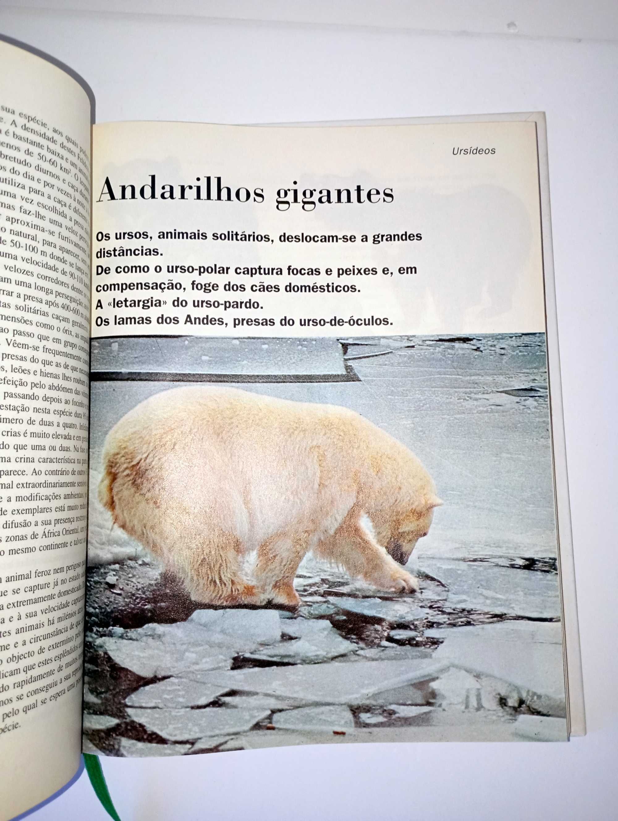Os Animais - Planeta Agostini