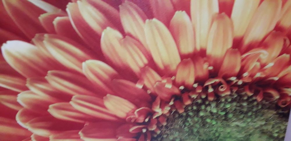 Obraz olejny słonecznik