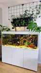 Akwarium Aquael Glossy 150