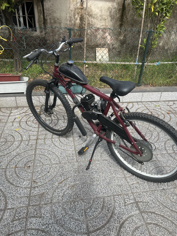 Bicicleta mororizada