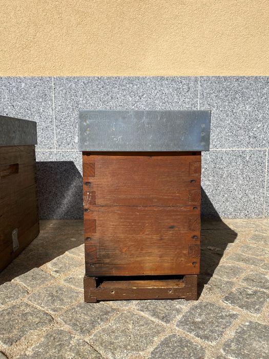 Material apícola - Nucleo, ninho e alça abelhas novo/sado