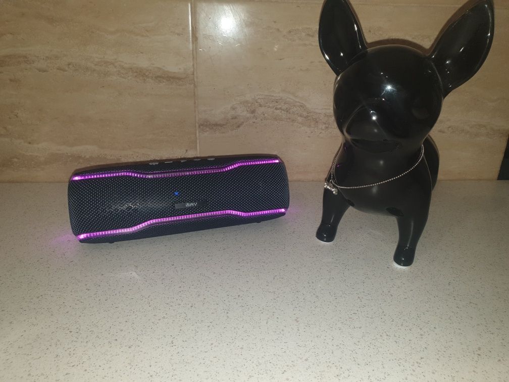 Przenośny głośnik Bluetooth Rohs