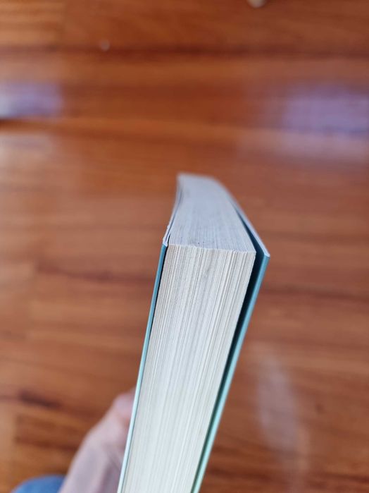 Livro "Foi sem querer que te quis"