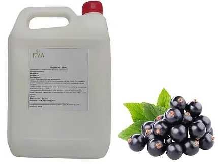 Концентрированный сок черной смородины (65-67ВХ) канистра 10л/13 кг