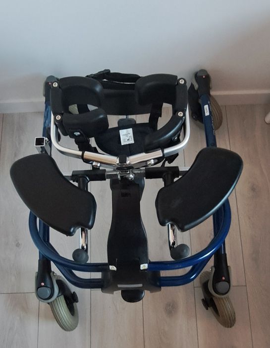 Pionizator dynamiczny mustang R82