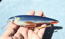 Wobler szczupakowy Płoć FDR 17 cm 55