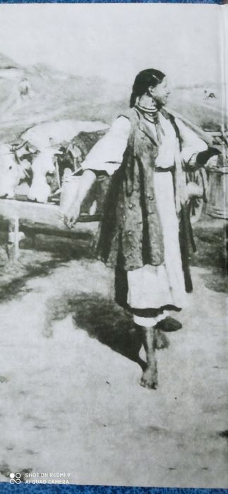 Українська література 10 клас