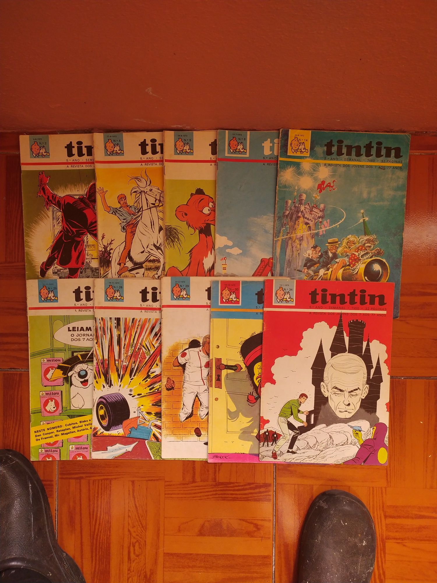 Banda desenhada. Tintin.