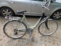 Gazelle gold line