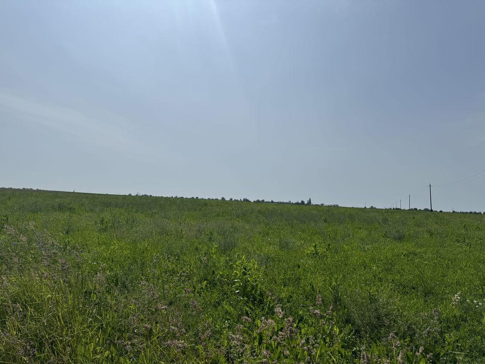 Продаж земельноі ділянки в с. Княгининок