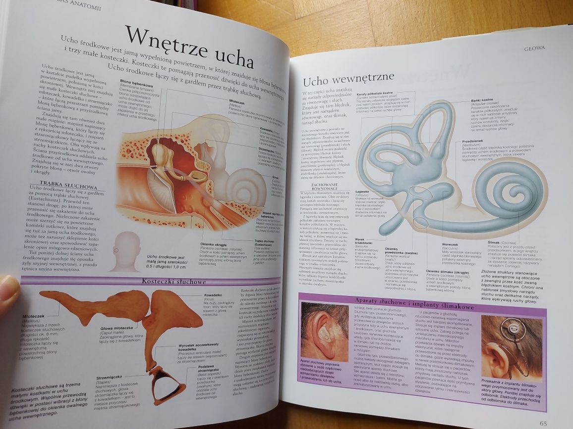 Atlas anatomii ciało człowieka budowa i funkcjonowanie Peter Abrahams