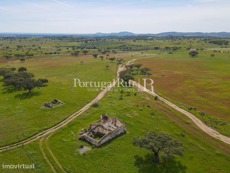 Herdade com 53ha perto do Alandroal