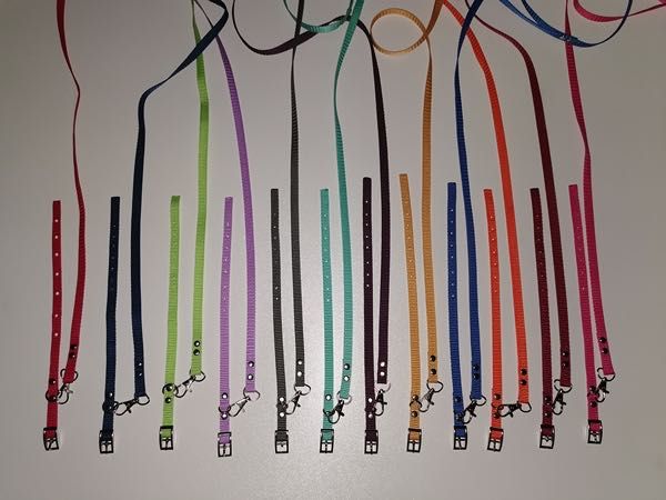 york obroża i smycz dla szczeniaka, zestaw 5 szt. kolory wyprawka