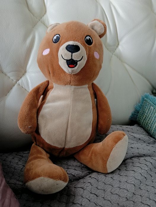 Zestaw trzech misiów