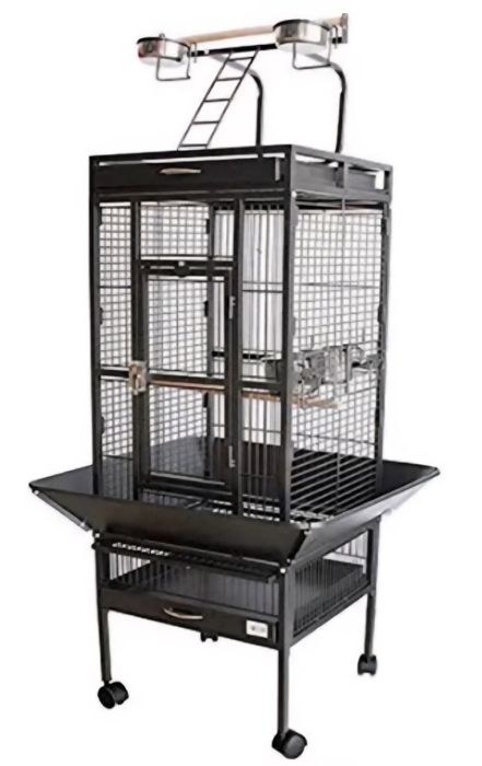 Gaiolas grandes novas