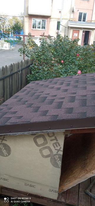 Продам собачу буду