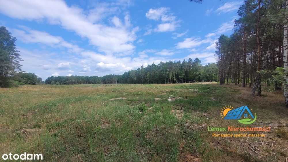 Do sprzedaży duża, atrakcyjna działka o pow 1,9056 HA w Rybakowie