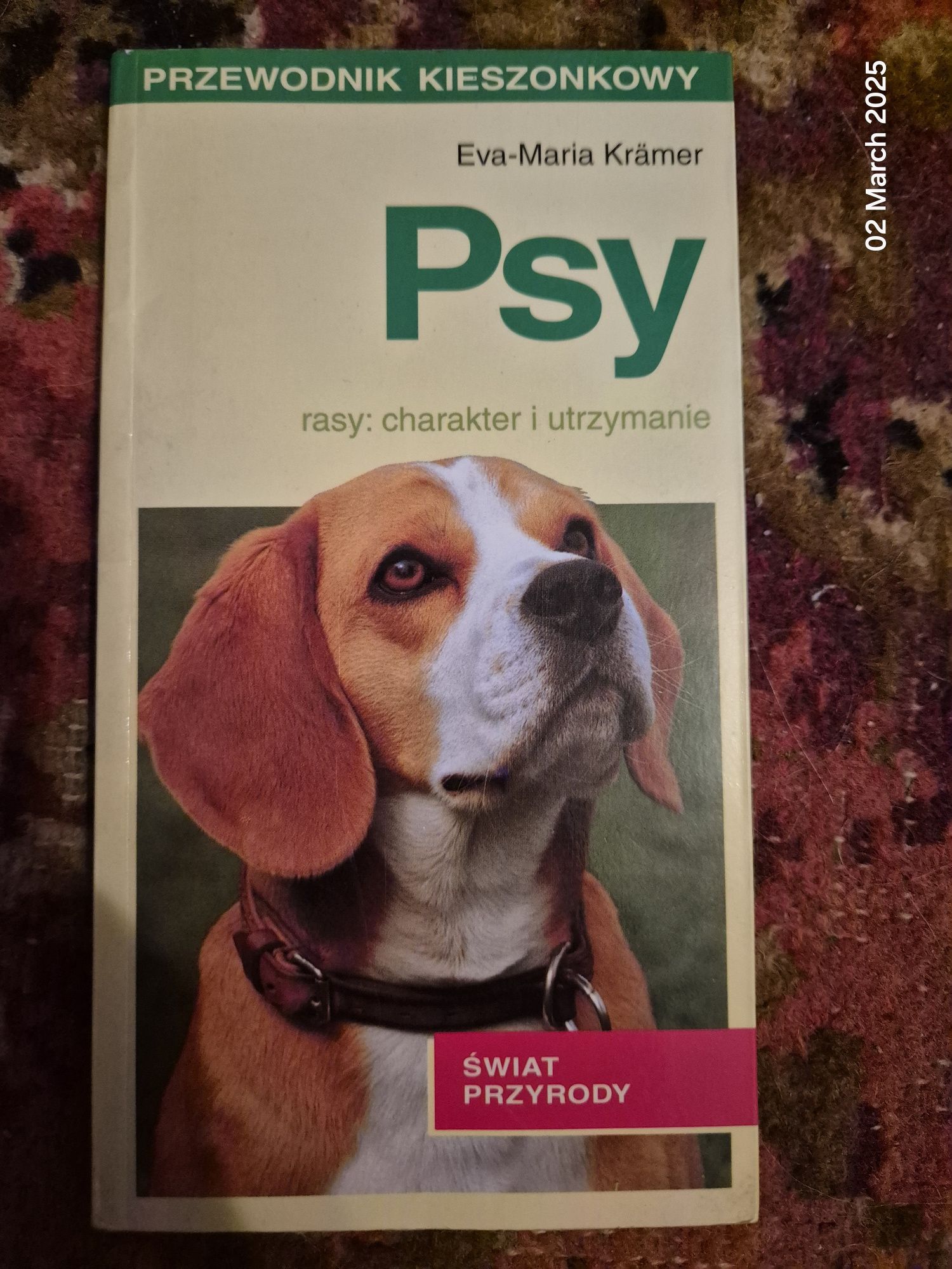Psy, specyfikacja ras